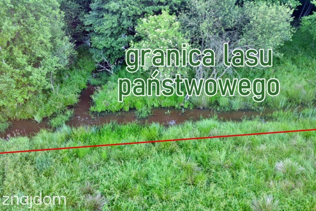 Ostatnia działka budowlana z MPZP przy lesie - zdjęcie 8