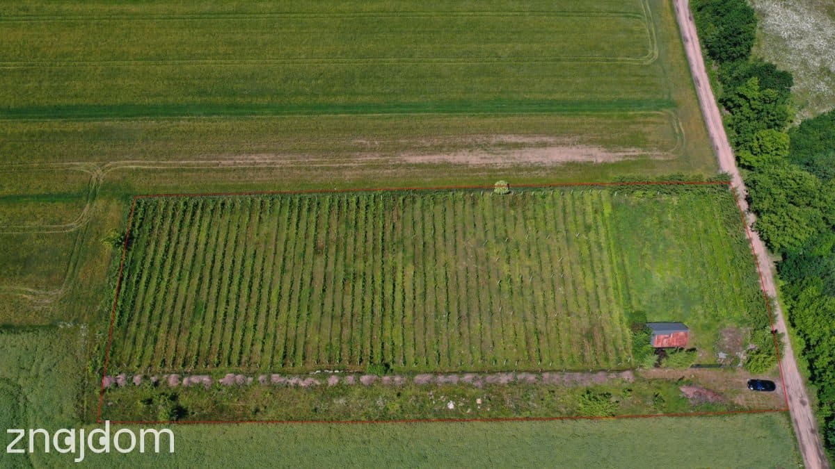 Buduj 5 Domów od Zaraz - zdjęcie 3
