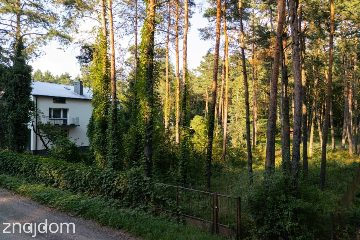 Zbuduj dom w sosnowym lesie – 32 ary ciszy ! - zdjęcie 8