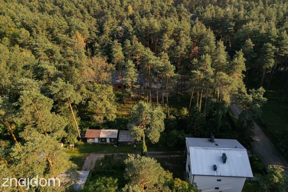 Zbuduj dom w sosnowym lesie – 32 ary ciszy ! - zdjęcie 10