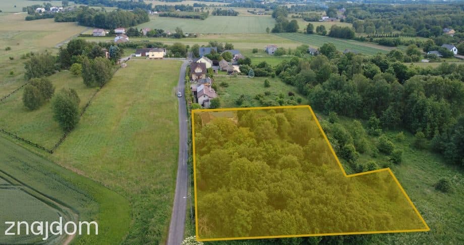 Duża działka pod inwestycję lub dom | 3765 m² - zdjęcie 5