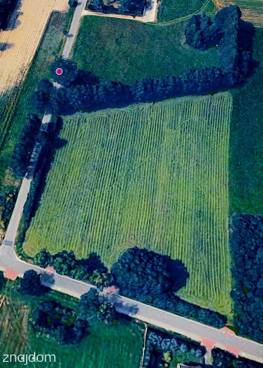 Budowlana 1116 m² pod dom jednorodzinny WZ - zdjęcie 12