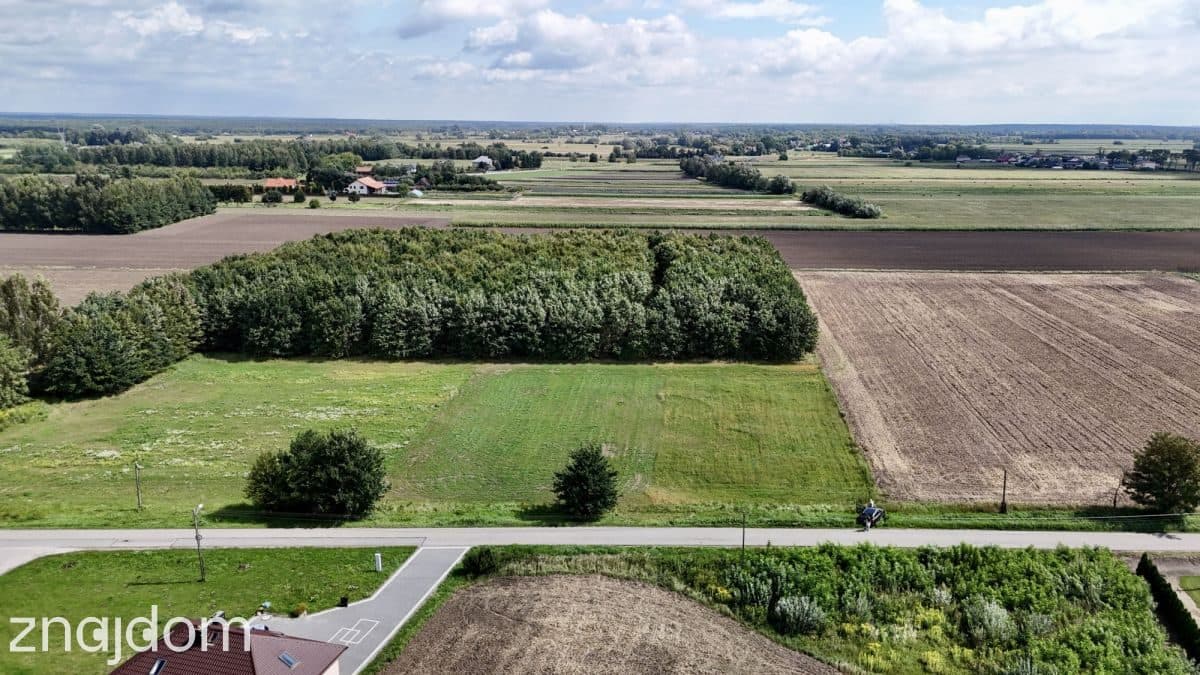 Puszcza Kampinoska! Kompleks 8 działek z WZ - zdjęcie 3