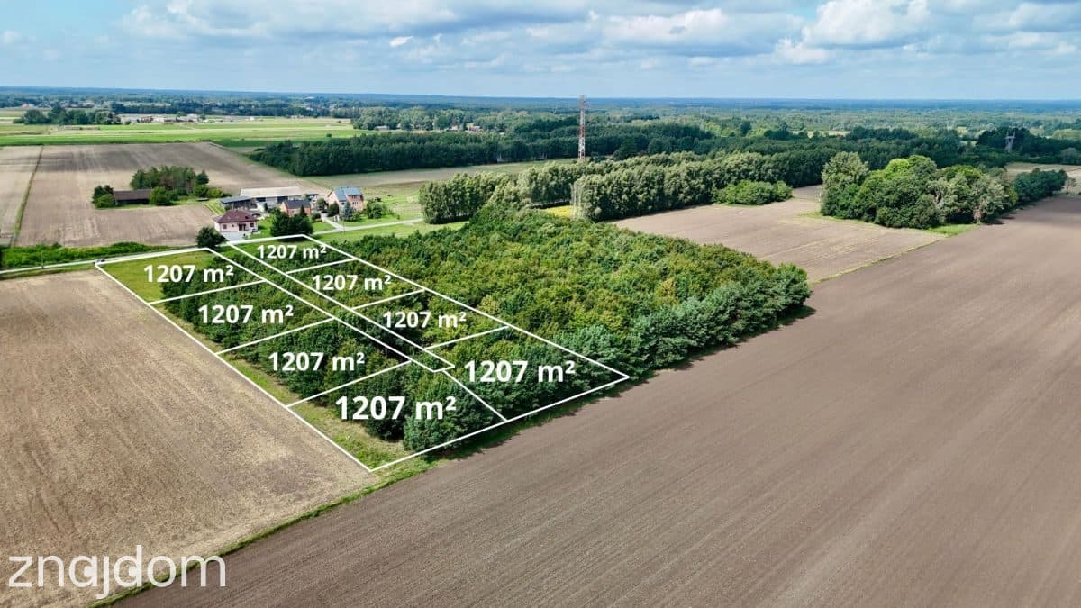 Puszcza Kampinoska! Kompleks 8 działek z WZ - zdjęcie 15