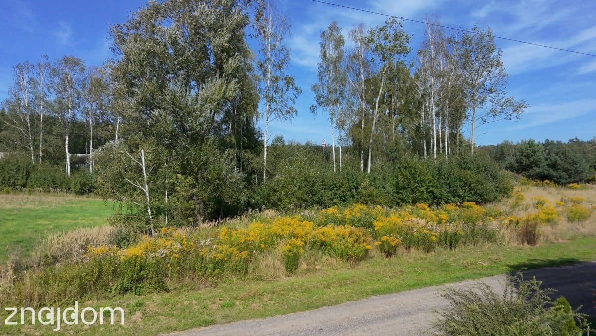 Zawady: działka 2000 m² z WZ, prywatność i natura - zdjęcie 13