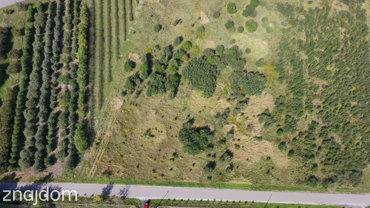 Działka siedliskowa 1,48 ha z WZ na dom – Kowiesy - zdjęcie 2