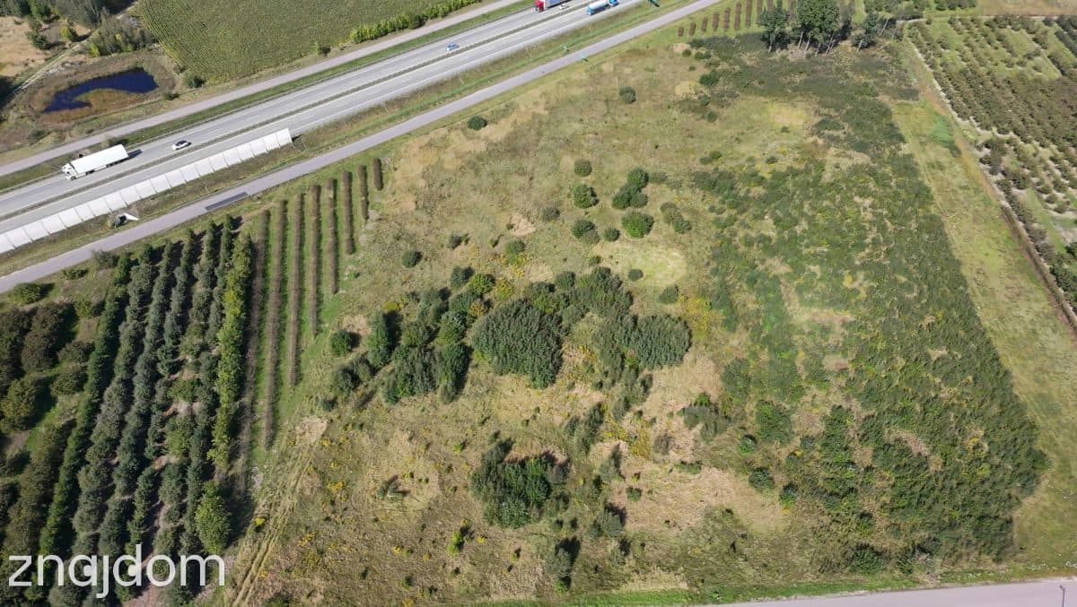 Działka siedliskowa 1,48 ha z WZ na dom – Kowiesy - zdjęcie 3