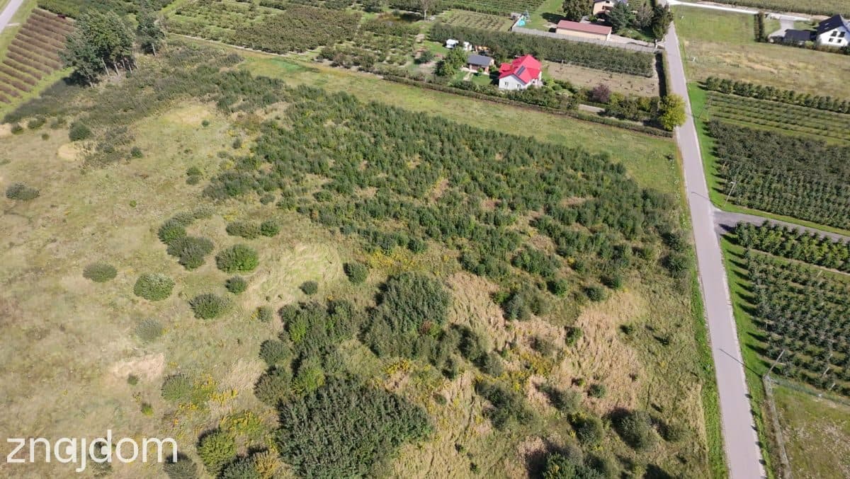Działka siedliskowa 1,48 ha z WZ na dom – Kowiesy - zdjęcie 6