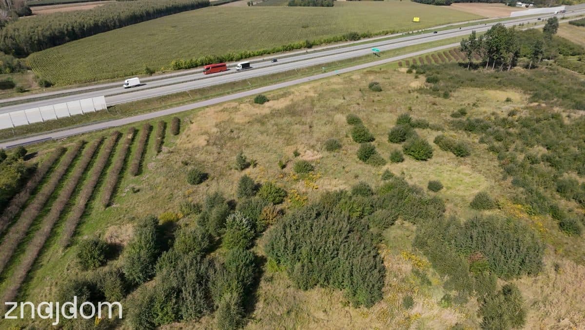 Działka siedliskowa 1,48 ha z WZ na dom – Kowiesy - zdjęcie 7
