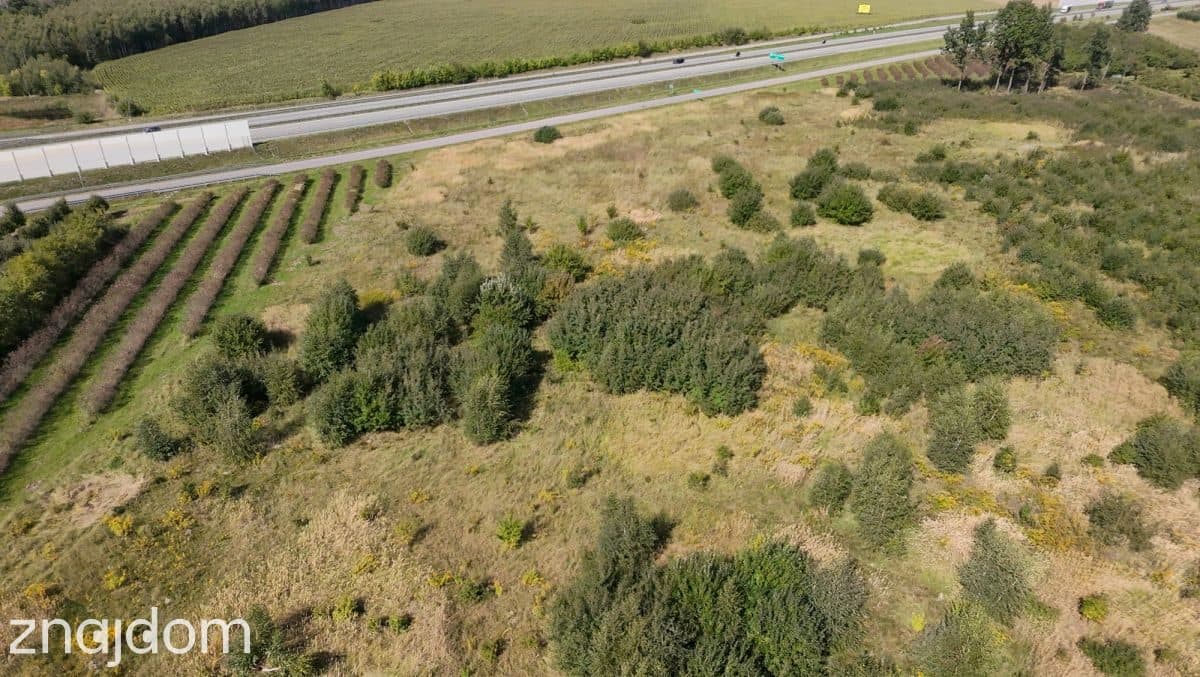Działka siedliskowa 1,48 ha z WZ na dom – Kowiesy - zdjęcie 8