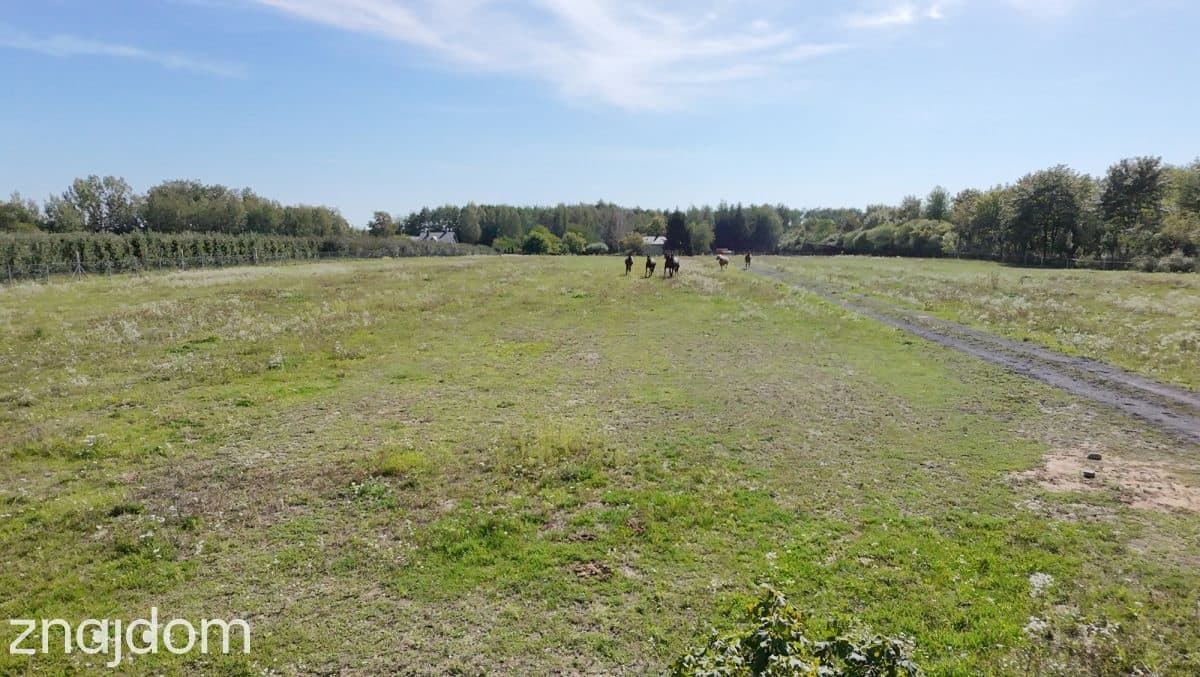 Działka siedliskowa 1,48 ha z WZ na dom – Kowiesy - zdjęcie 9