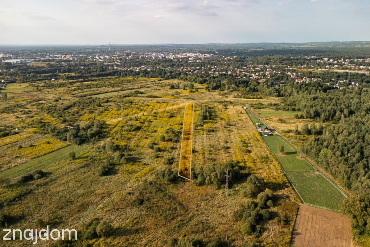 6479 m² przy ul. Cichej - zdjęcie 4