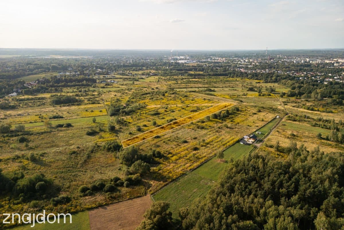 6479 m² przy ul. Cichej - zdjęcie 6