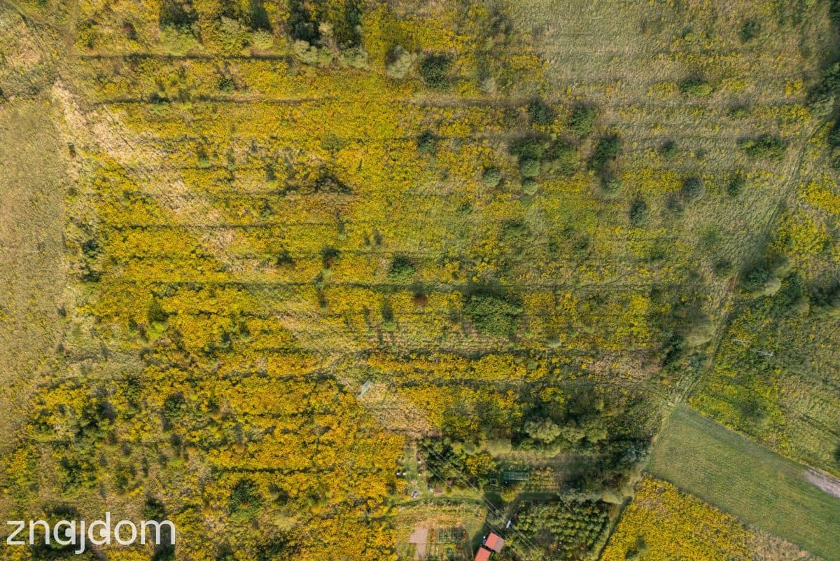 6479 m² przy ul. Cichej - zdjęcie 12