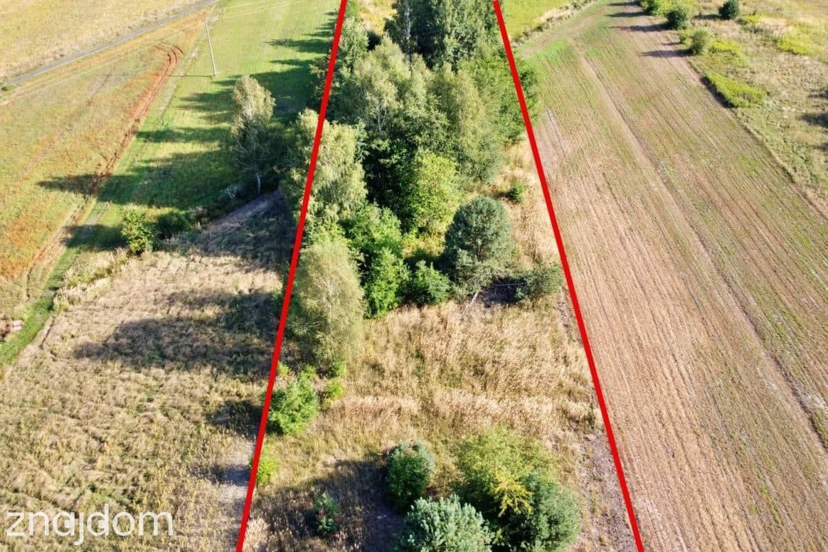 Działka rolna z około 30-letnim drzewostanem - zdjęcie 10