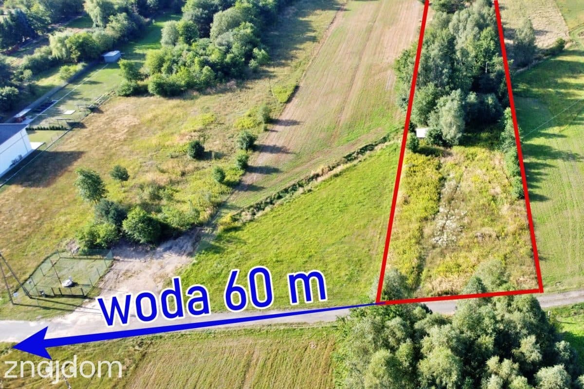 Działka rolna z około 30-letnim drzewostanem - zdjęcie 11