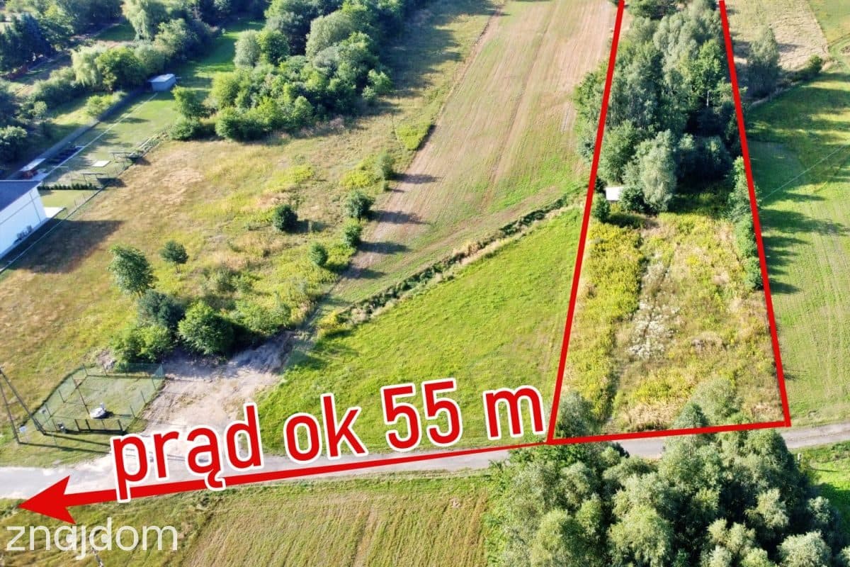 Działka rolna z około 30-letnim drzewostanem - zdjęcie 12