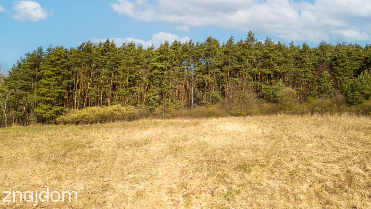 Prawie 2 ha prywatności , Ujejsce - zdjęcie 3