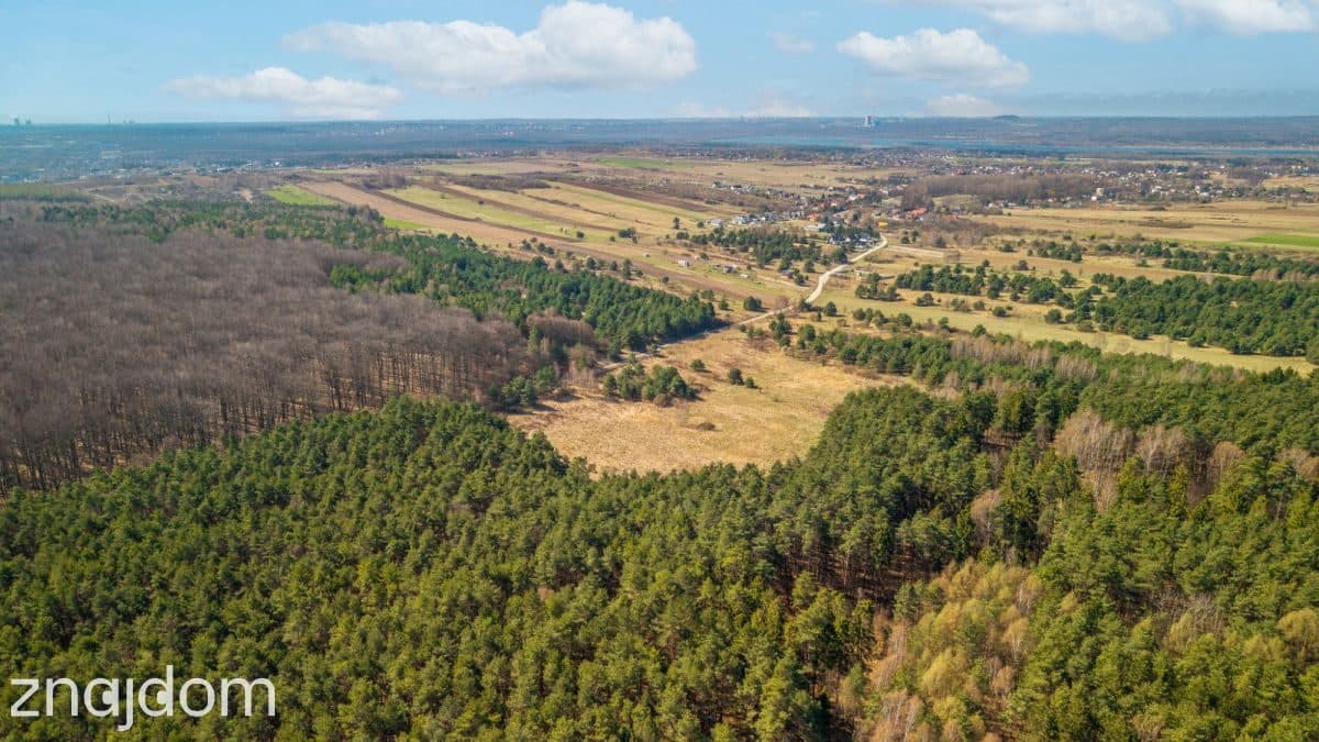 Prawie 2 ha prywatności , Ujejsce - zdjęcie 4