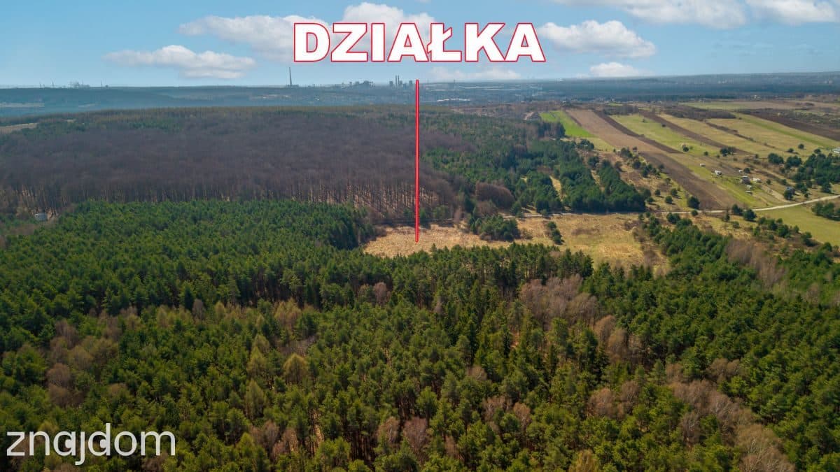 Prawie 2 ha prywatności , Ujejsce - zdjęcie 5