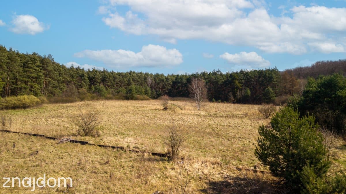 Prawie 2 ha prywatności , Ujejsce - zdjęcie 6