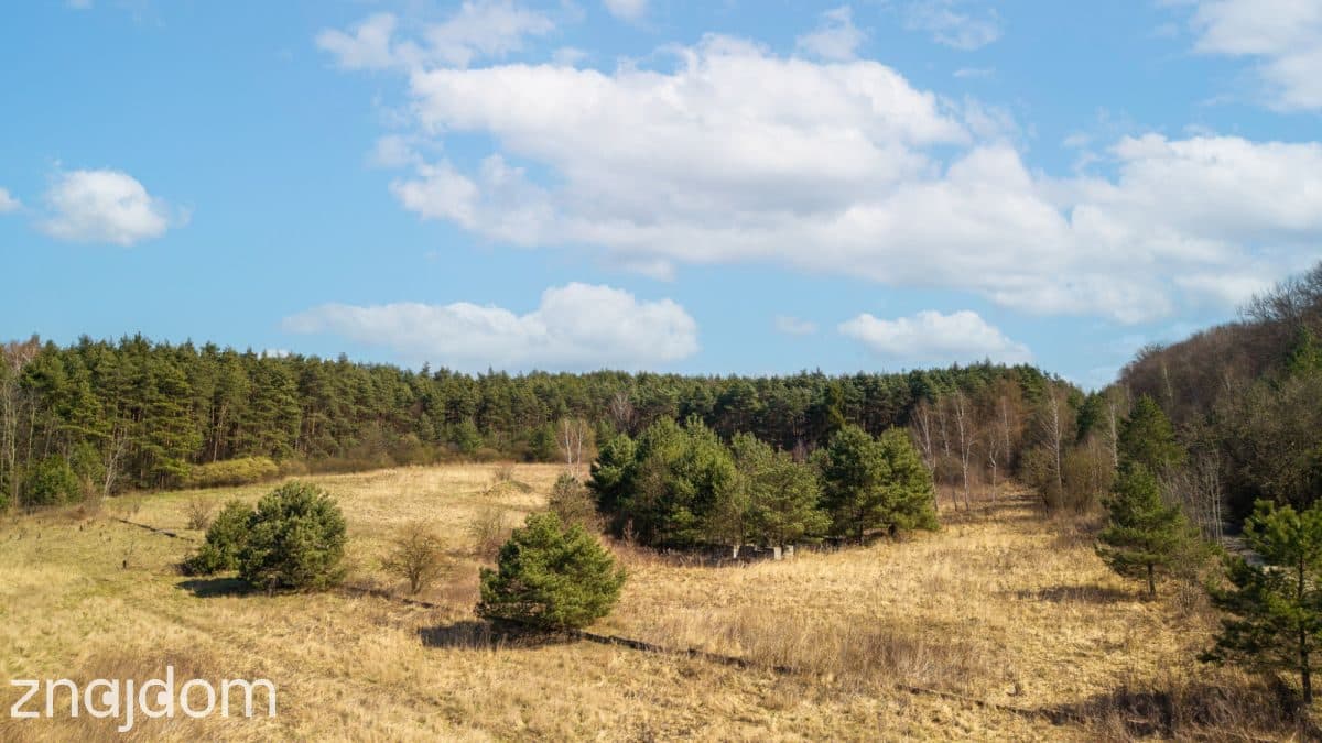 Prawie 2 ha prywatności , Ujejsce - zdjęcie 7