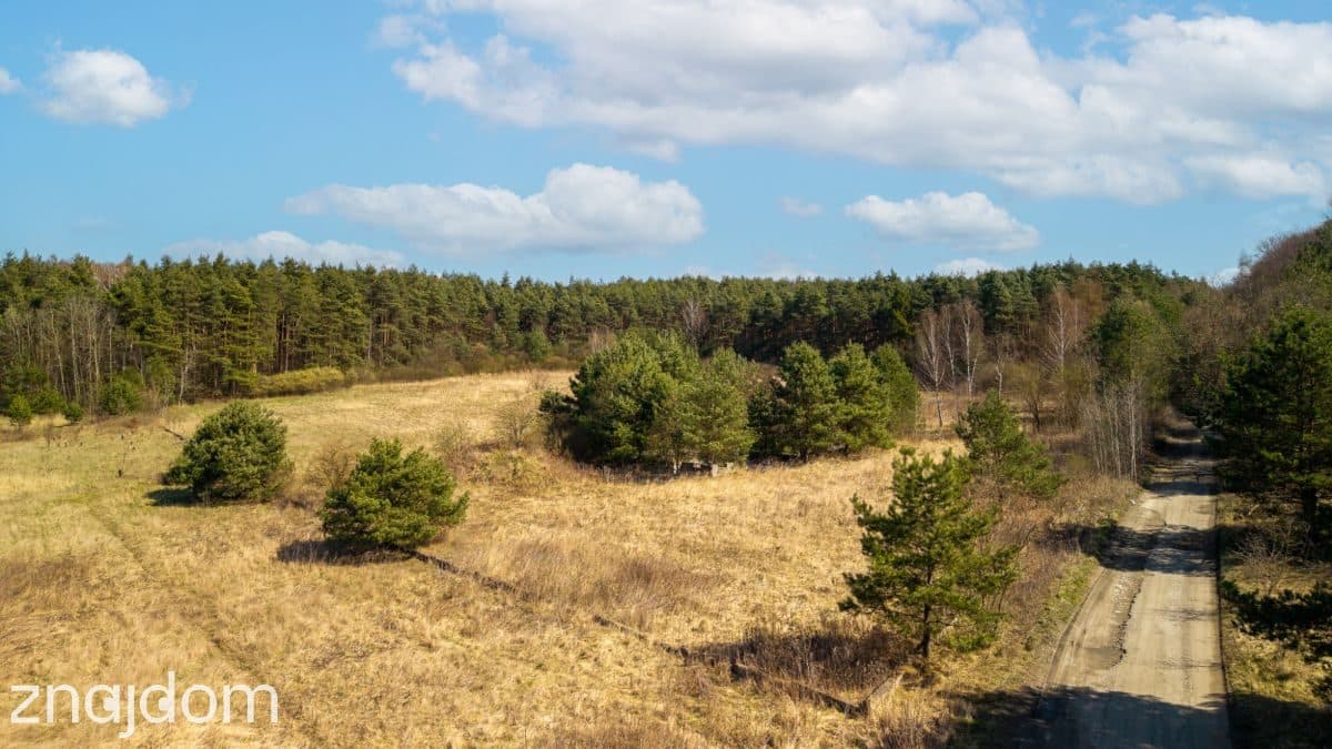 Prawie 2 ha prywatności , Ujejsce - zdjęcie 8