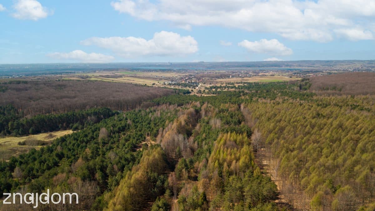 Prawie 2 ha prywatności , Ujejsce - zdjęcie 14