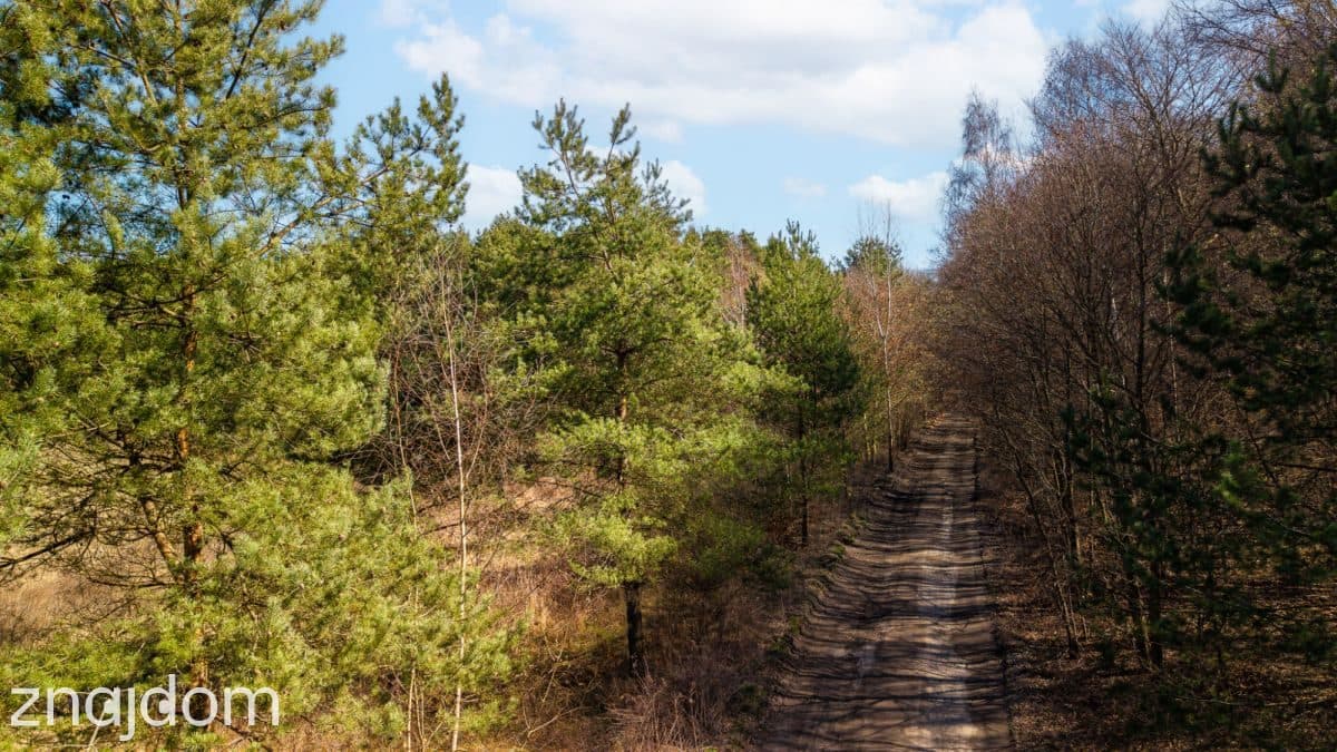 Prawie 2 ha prywatności , Ujejsce - zdjęcie 16