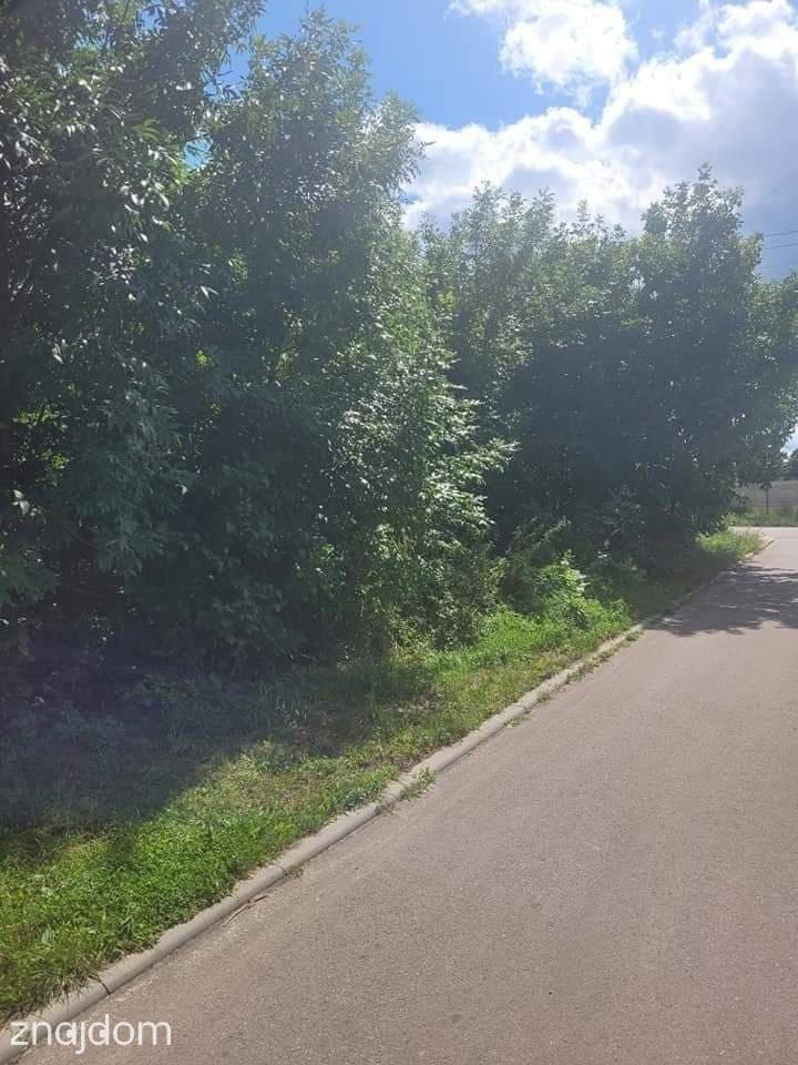 Atrakcyjny teren pod zabudowę komercyjną - zdjęcie 5
