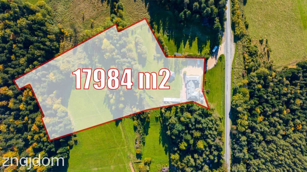Funkcjonujący pensjonat w Krynicy Zdrój - zdjęcie 7