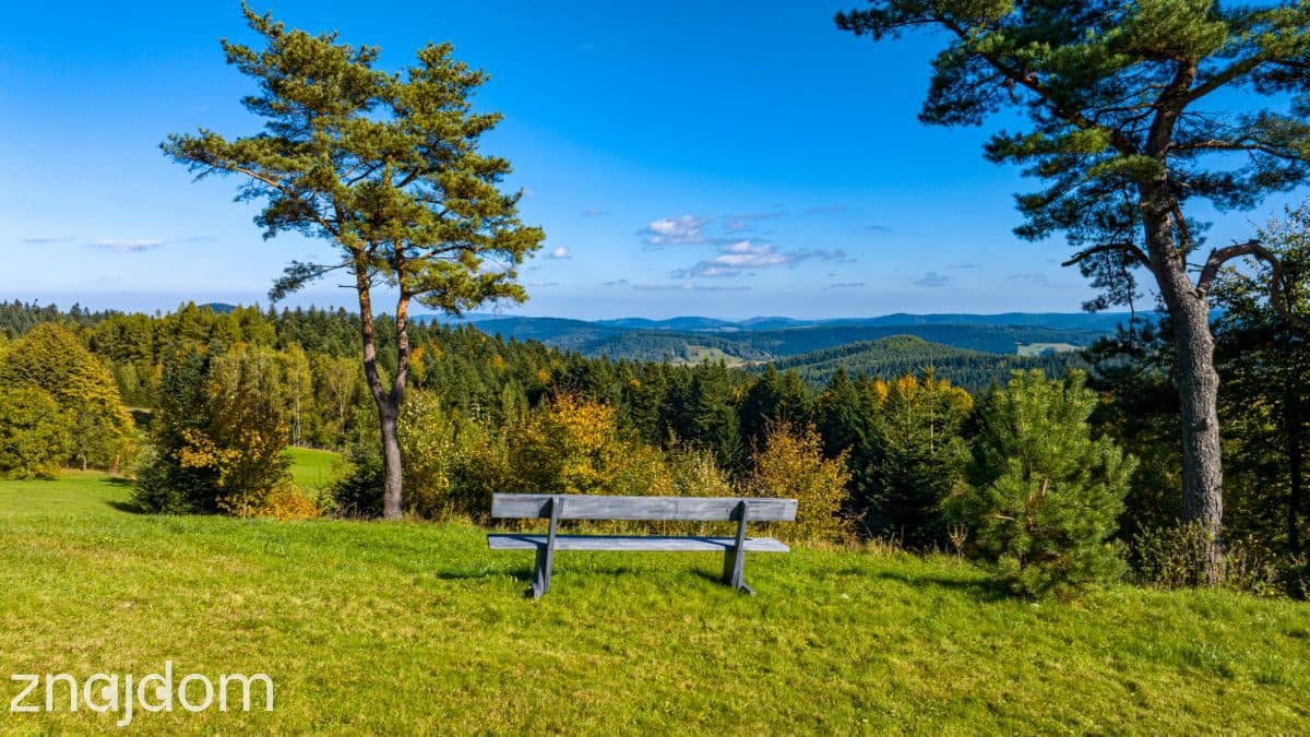 Funkcjonujący pensjonat w Krynicy Zdrój - zdjęcie 9