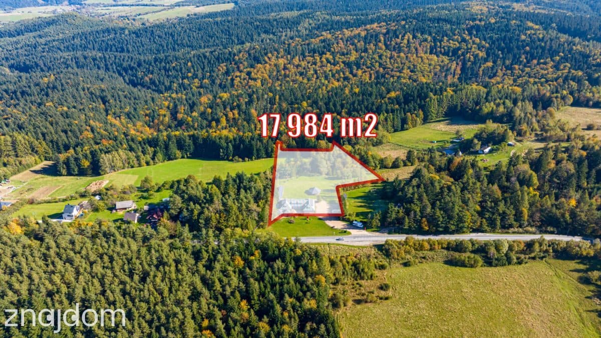 Funkcjonujący pensjonat w Krynicy Zdrój - zdjęcie 6