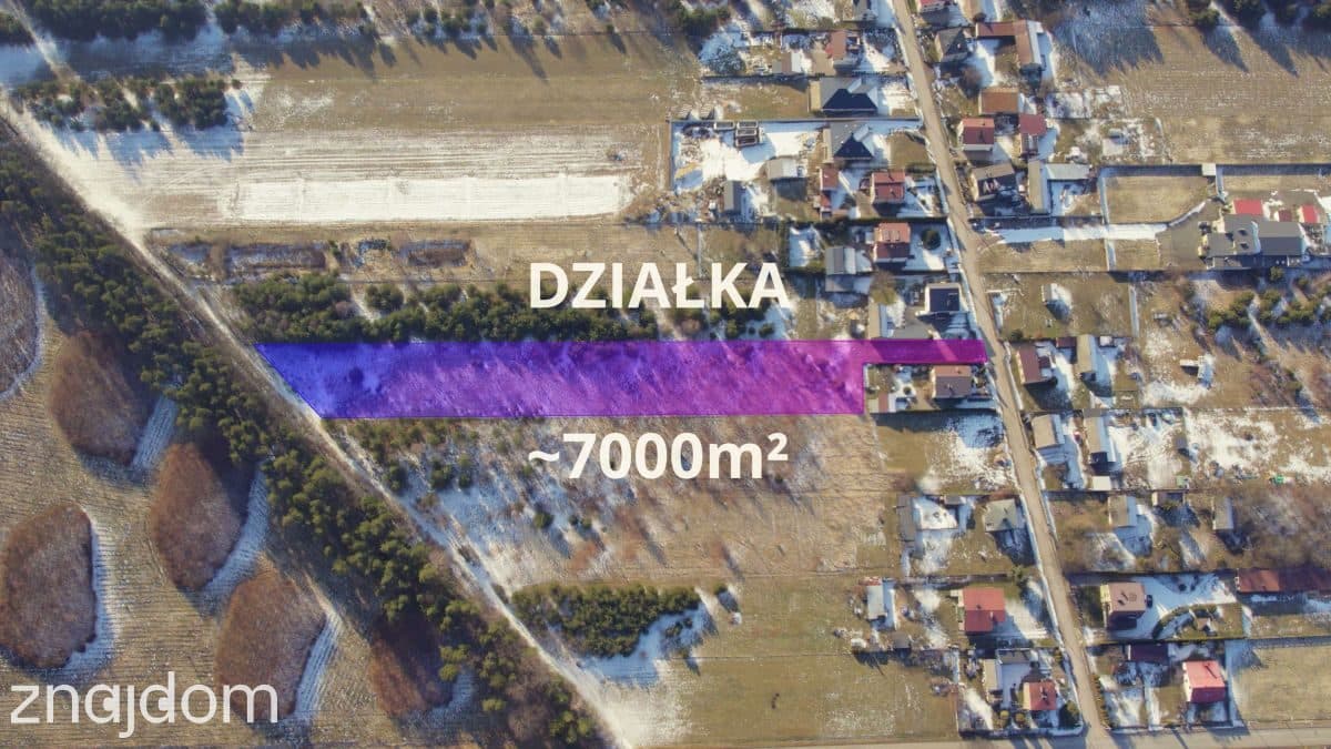 Duża działka z dostępem do lasu - zdjęcie 3