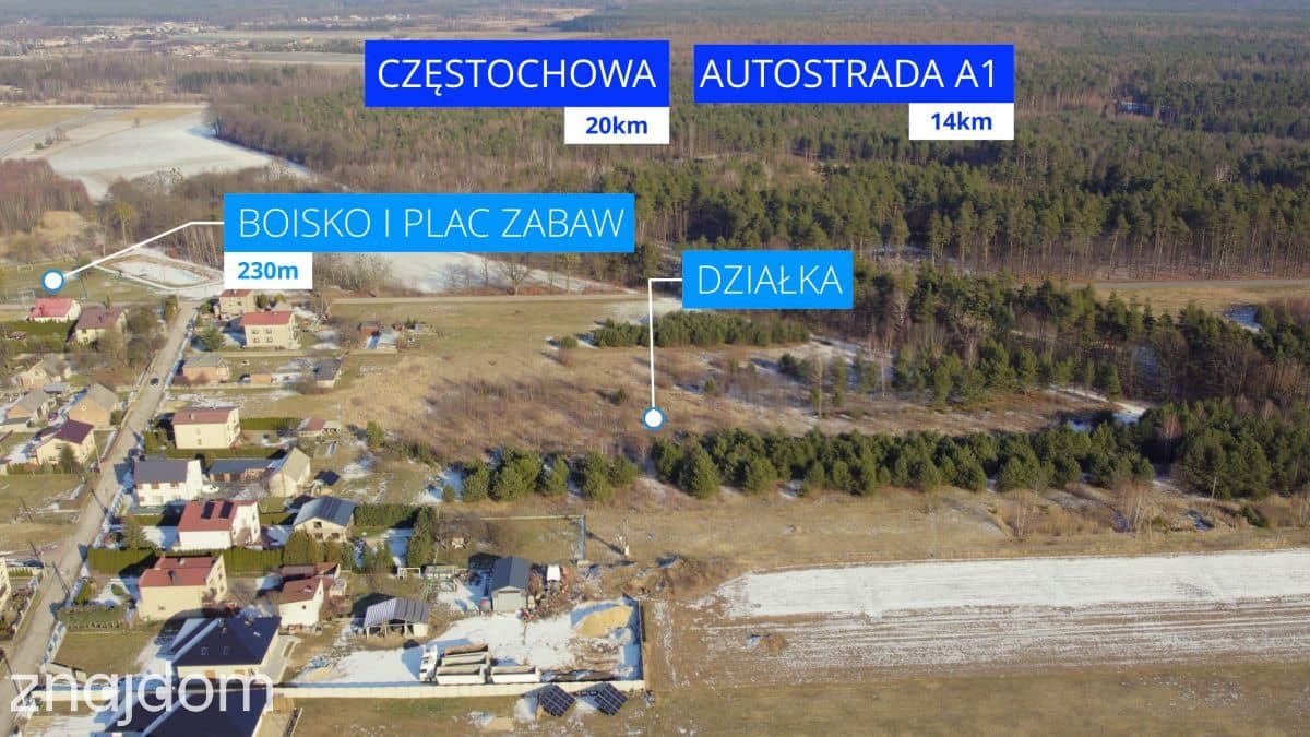 Duża działka z dostępem do lasu - zdjęcie 10
