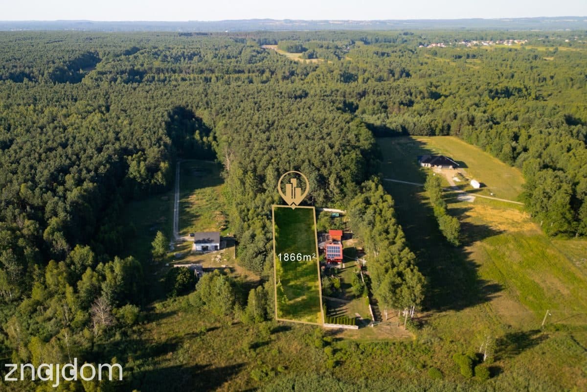 Działka marzeń pod lasem