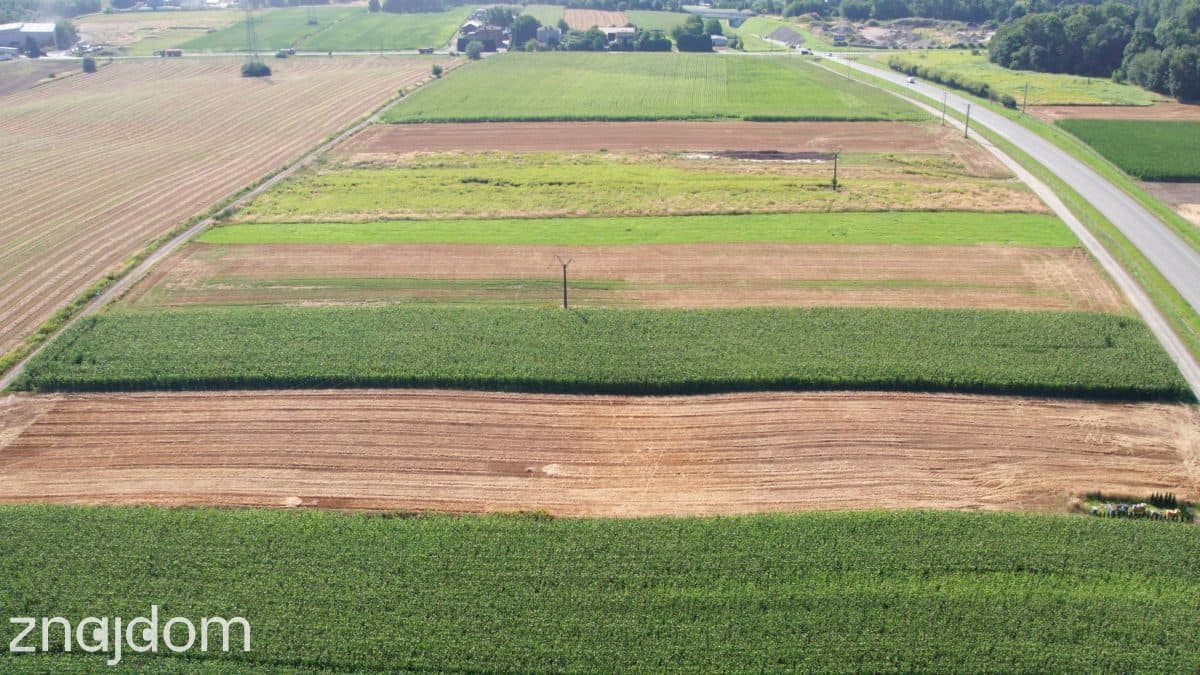 Jastrzębie: Nawet 2 ha pod Fabrykę przy DK933 - zdjęcie 8