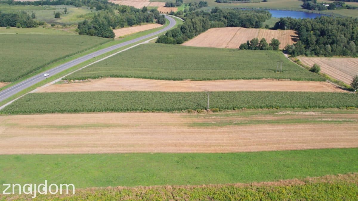 Jastrzębie: Nawet 2 ha pod Fabrykę przy DK933 - zdjęcie 10