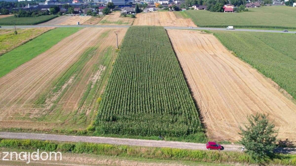 Jastrzębie: Nawet 2 ha pod Fabrykę przy DK933 - zdjęcie 11