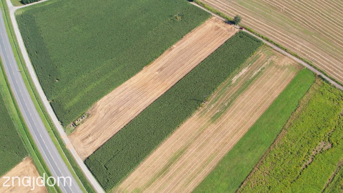 Jastrzębie: Nawet 2 ha pod Fabrykę przy DK933 - zdjęcie 14