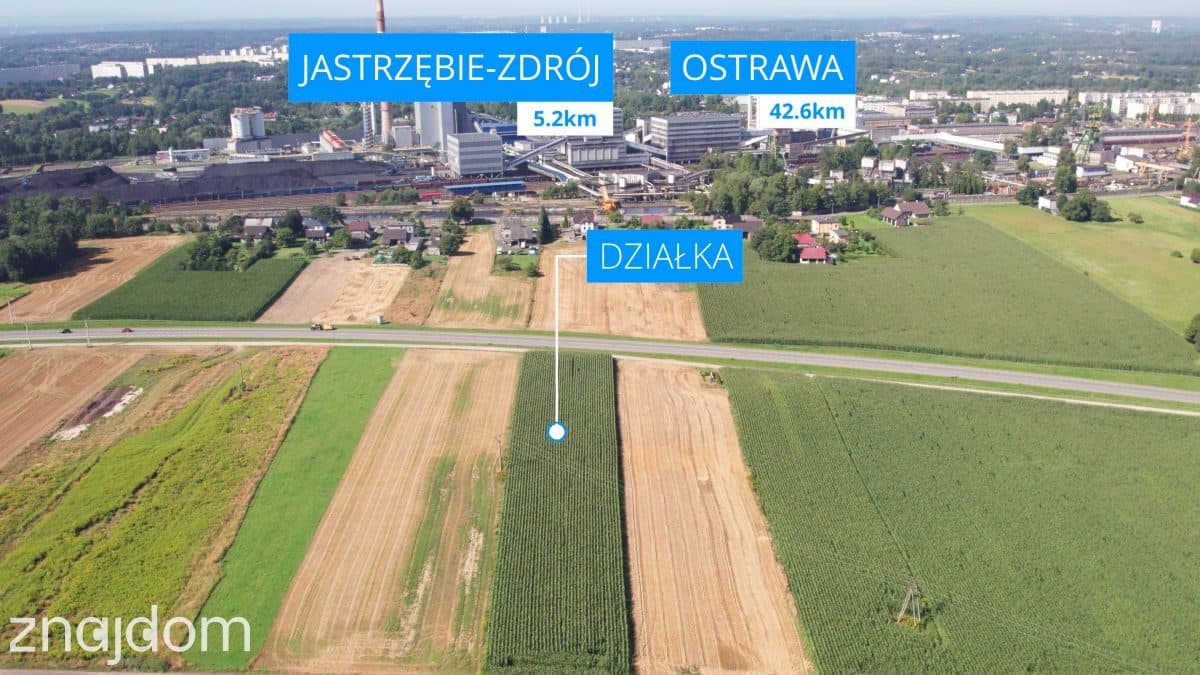 Jastrzębie: Nawet 2 ha pod Fabrykę przy DK933 - zdjęcie 5