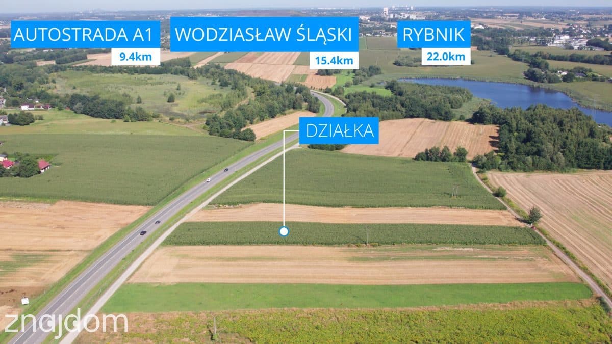 Jastrzębie: Nawet 2 ha pod Fabrykę przy DK933 - zdjęcie 6