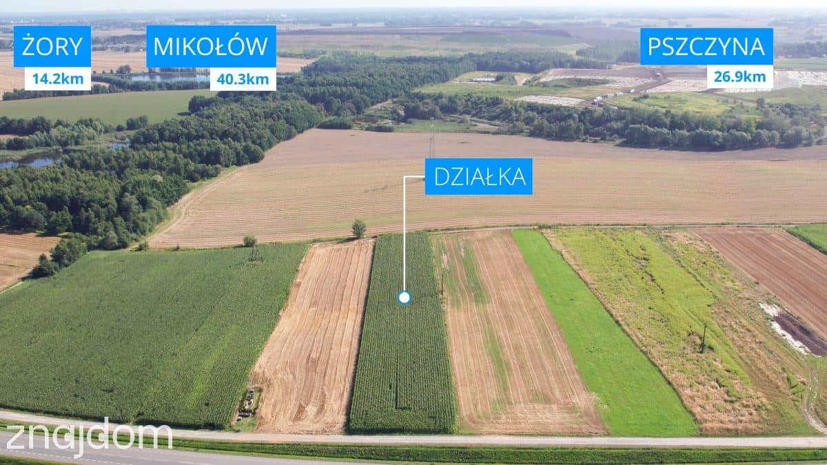 Jastrzębie: Nawet 2 ha pod Fabrykę przy DK933 - zdjęcie 7