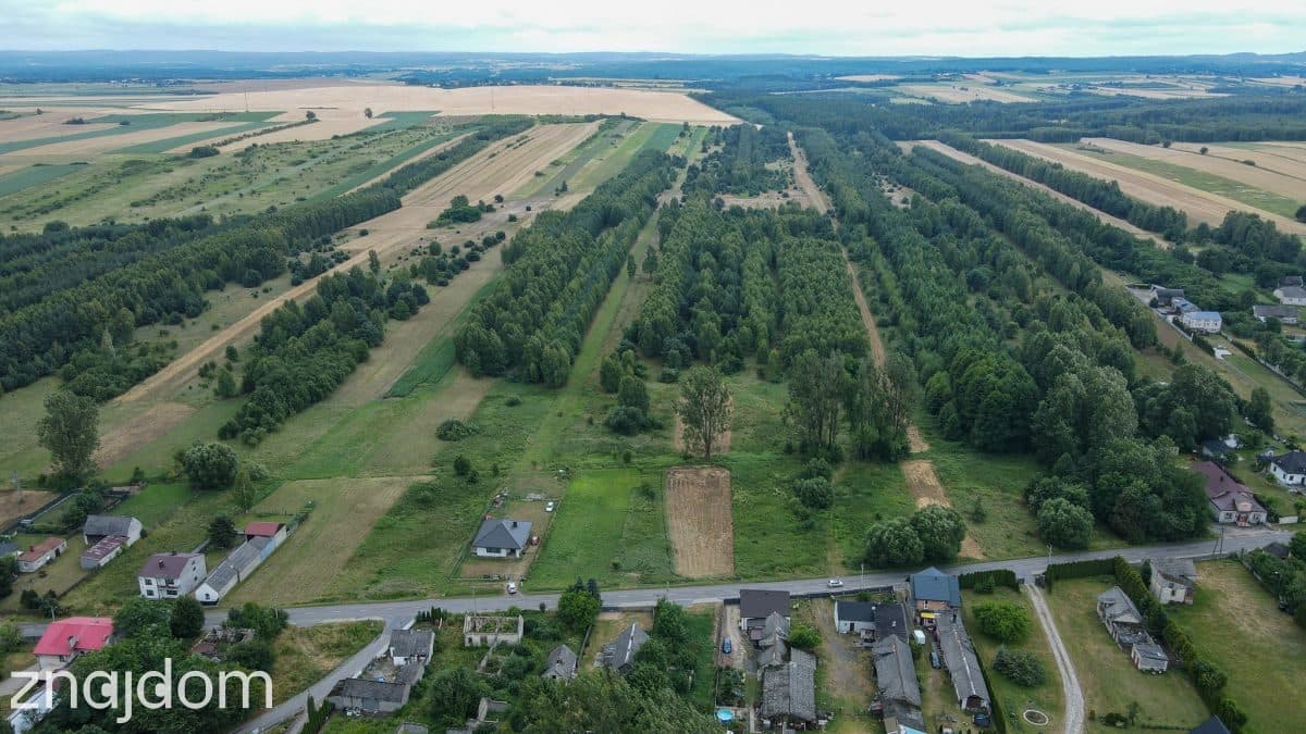 Duża działka budowlana w malowniczej okolicy - zdjęcie 11