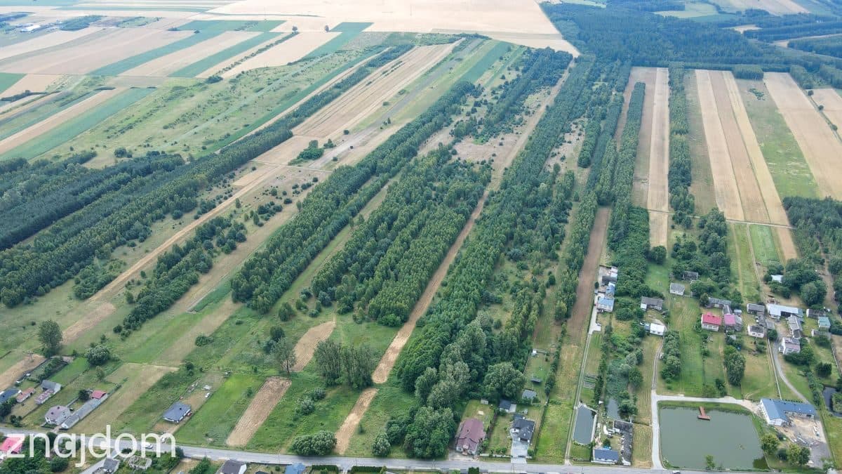 Działka 4,64 ha z częścią budowlaną | Gmina Mstów - zdjęcie 4