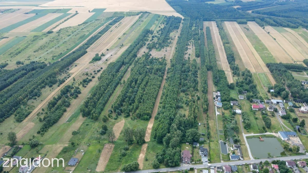 Działka 4,64 ha z częścią budowlaną | Gmina Mstów - zdjęcie 5
