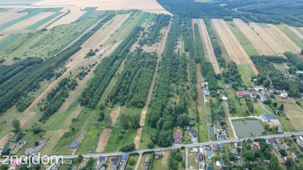 Działka 4,64 ha z częścią budowlaną | Gmina Mstów - zdjęcie 7