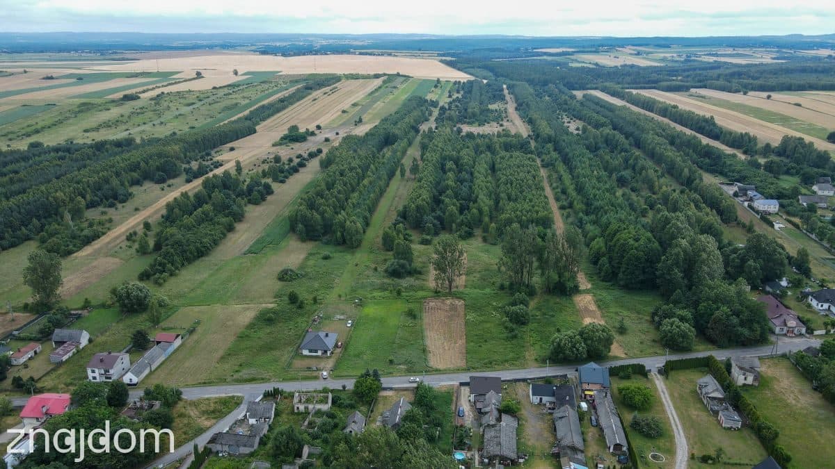 Działka 4,64 ha z częścią budowlaną | Gmina Mstów - zdjęcie 9